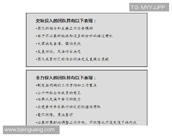 上海飞盘队团队协作表现的数据分析与提升策略探讨